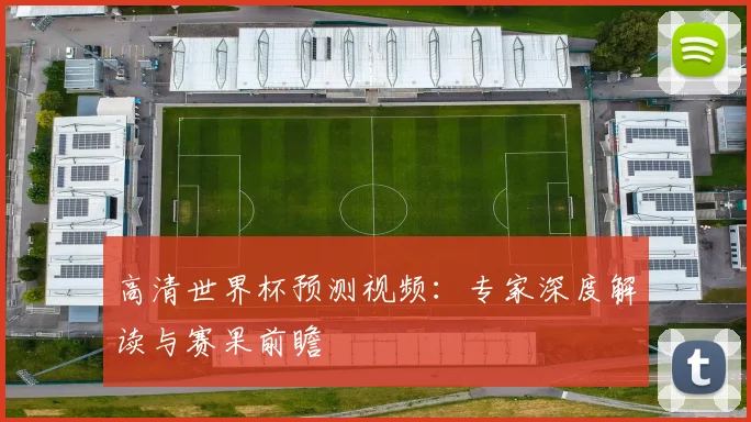 高清世界杯预测视频：专家深度解读与赛果前瞻